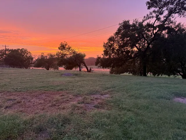 a view of dirt field with trees in background