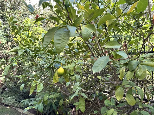 $5,700 | 2 Honeydew, Irvine, CA 92603