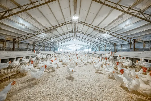 $1,700,000 | 4541 East Fm 485, Cameron, TX 76520