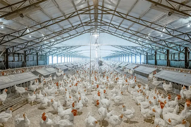 $1,700,000 | 4541 East Fm 485, Cameron, TX 76520