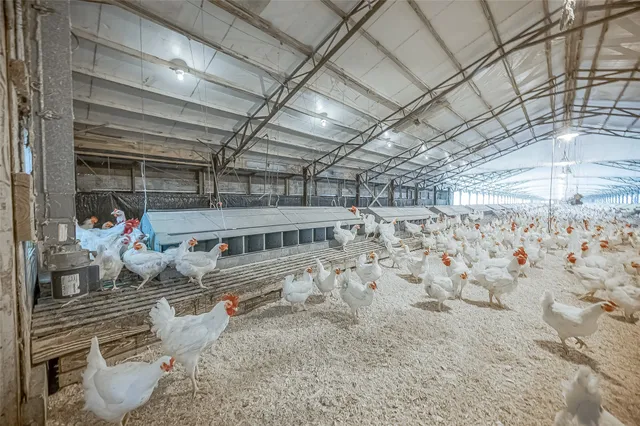 $1,700,000 | 4541 East Fm 485, Cameron, TX 76520