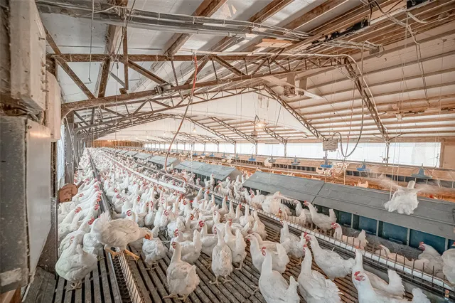 $1,700,000 | 4541 East Fm 485, Cameron, TX 76520