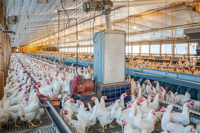 $1,700,000 | 4541 East Fm 485, Cameron, TX 76520