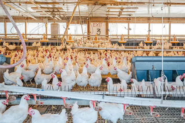 $1,700,000 | 4541 East Fm 485, Cameron, TX 76520