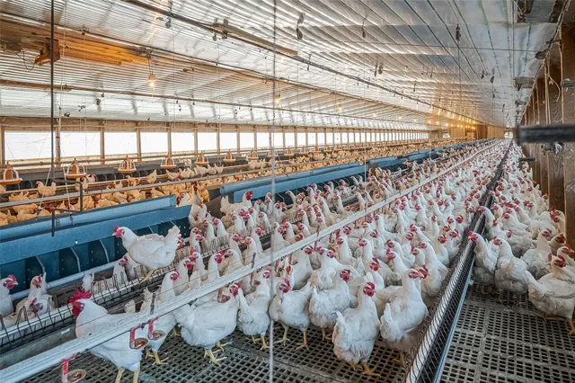 $1,700,000 | 4541 East Fm 485, Cameron, TX 76520