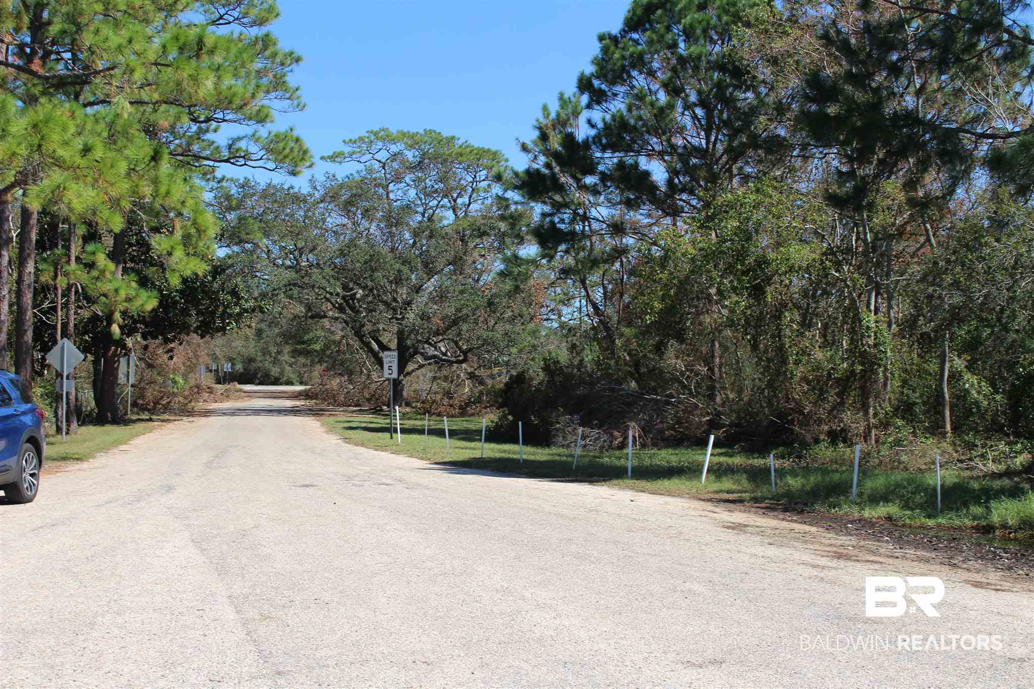 O East Magnolia Street Elberta, AL 36530 - Photo 1 of 5