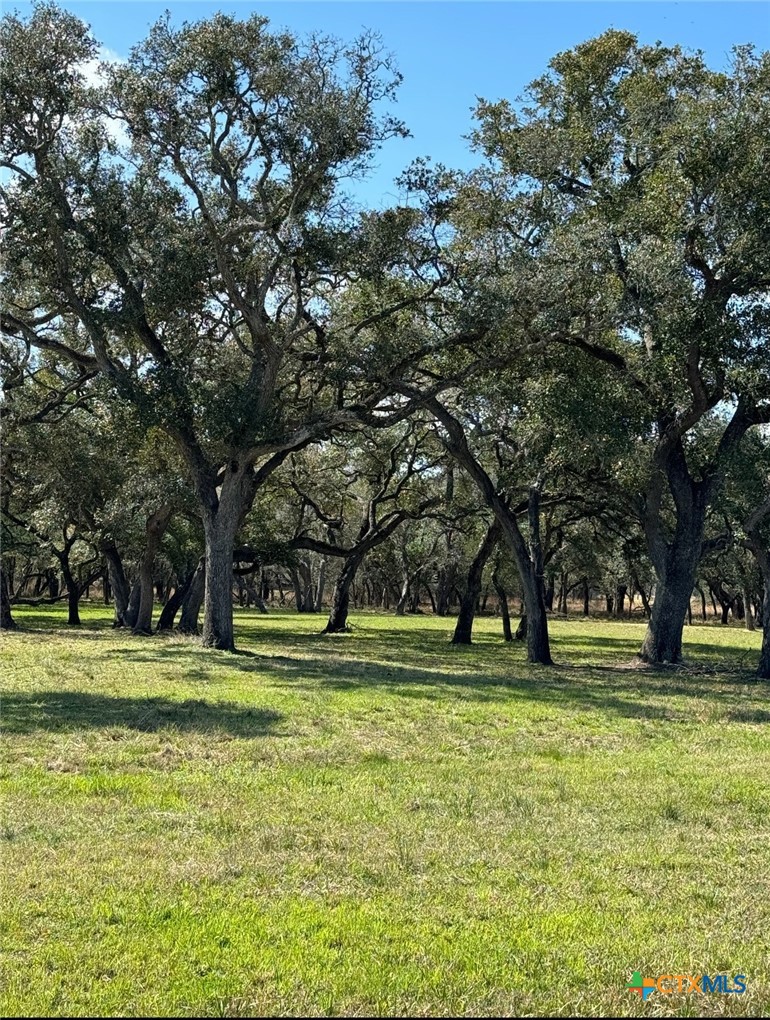 91 Post Oak Branch Inez, TX 77968 - Photo 4 of 7 a garden view with a trees