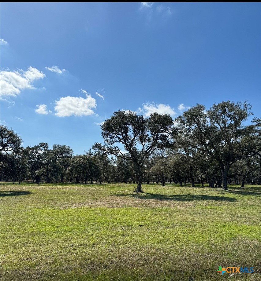 91 Post Oak Branch Inez, TX 77968 - Photo 7 of 7 a view of a green field