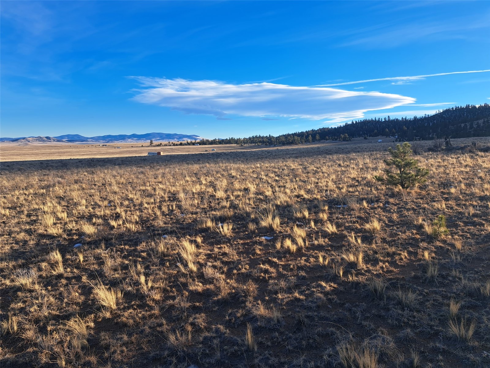 186 Boulder Road Hartsel, CO 80449 - Photo 15 of 33 Gallery Image 15