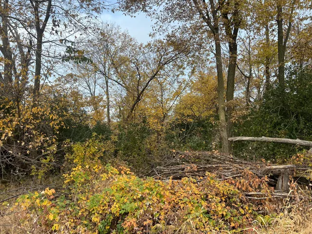 $1,450,000 | 24 County 24 Boulevard, Cannon Falls, MN 55009