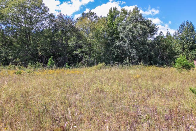 65 Green Dudley Road Salem, AL 36874 - Photo 1 of 2 a view of a yard