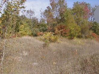 Lasalle Road Free Soil, MI 49411 - Photo 1 of 3 Primary Photo
