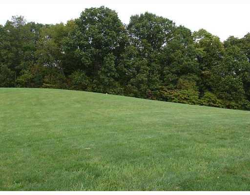 425 Vankirk Ridge Road Washington, PA 15301 - Photo 17 of 18 Yard/Garden.