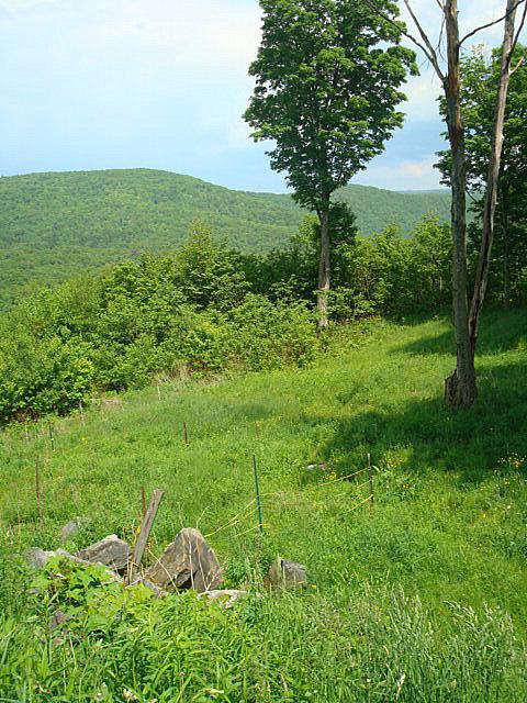 771 Surriner Road Becket, MA 01223 - Photo 6 of 12 suriner road