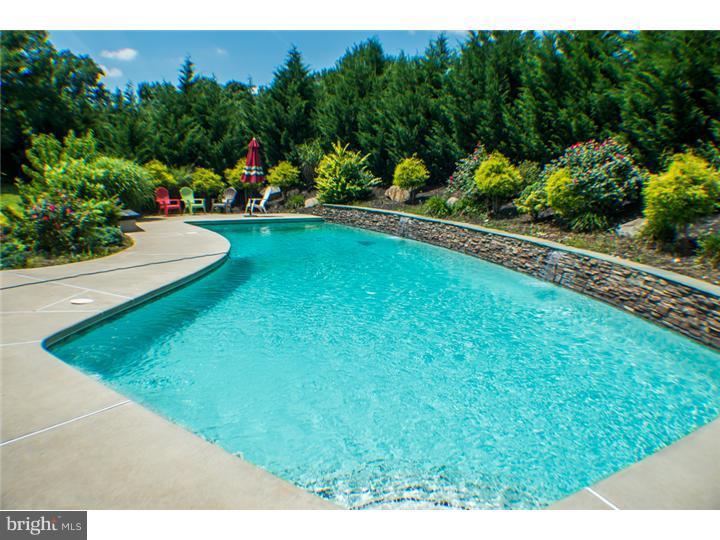 433 Buchert Road Pottstown, PA 19464 - Photo 5 of 25 Pool