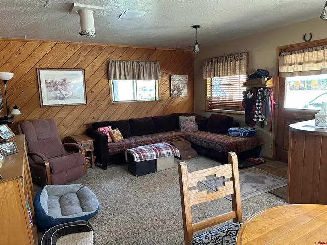 a living room with furniture a rug and a window