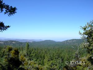 0 Howland Road Idyllwild, CA 92549 - Photo 1 of 8 Untitled