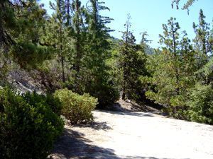 0 Howland Road Idyllwild, CA 92549 - Photo 2 of 8 Untitled
