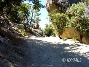 0 Howland Road Idyllwild, CA 92549 - Photo 3 of 8 Untitled