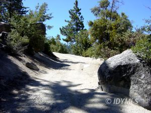 0 Howland Road Idyllwild, CA 92549 - Photo 4 of 8 Untitled