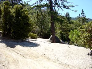 0 Howland Road Idyllwild, CA 92549 - Photo 5 of 8 Untitled