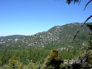 0 Howland Road Idyllwild, CA 92549 - Photo 8 of 8 Untitled