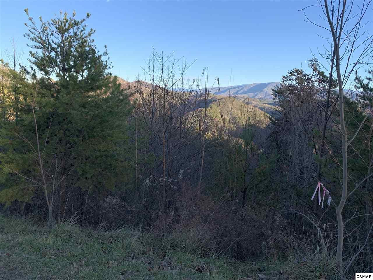 404978 Long Rifle Road Sevierville, TN 37862 - Photo 4 of 19 Gallery Image 4