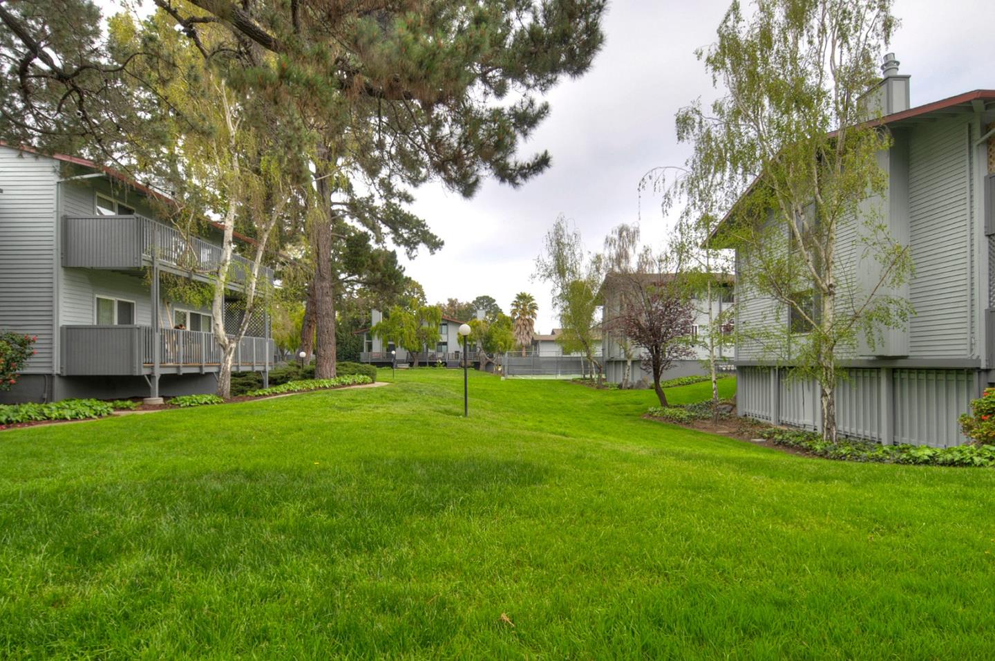 4106 George Avenue, Unit 2 San Mateo, CA 94403 - Photo 15 of 20 a view of a garden