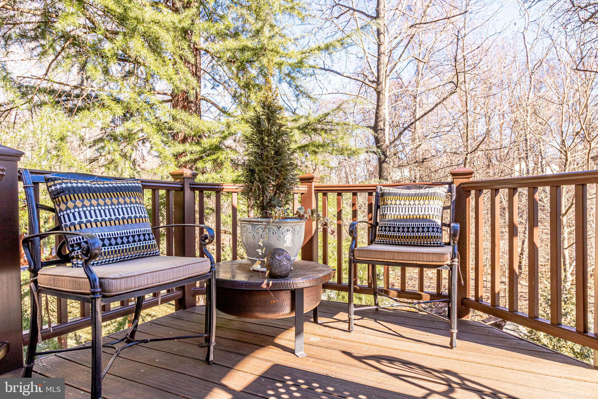 9303 Poplar Spring Court Burke, VA 22015 - Photo 109 of 127
