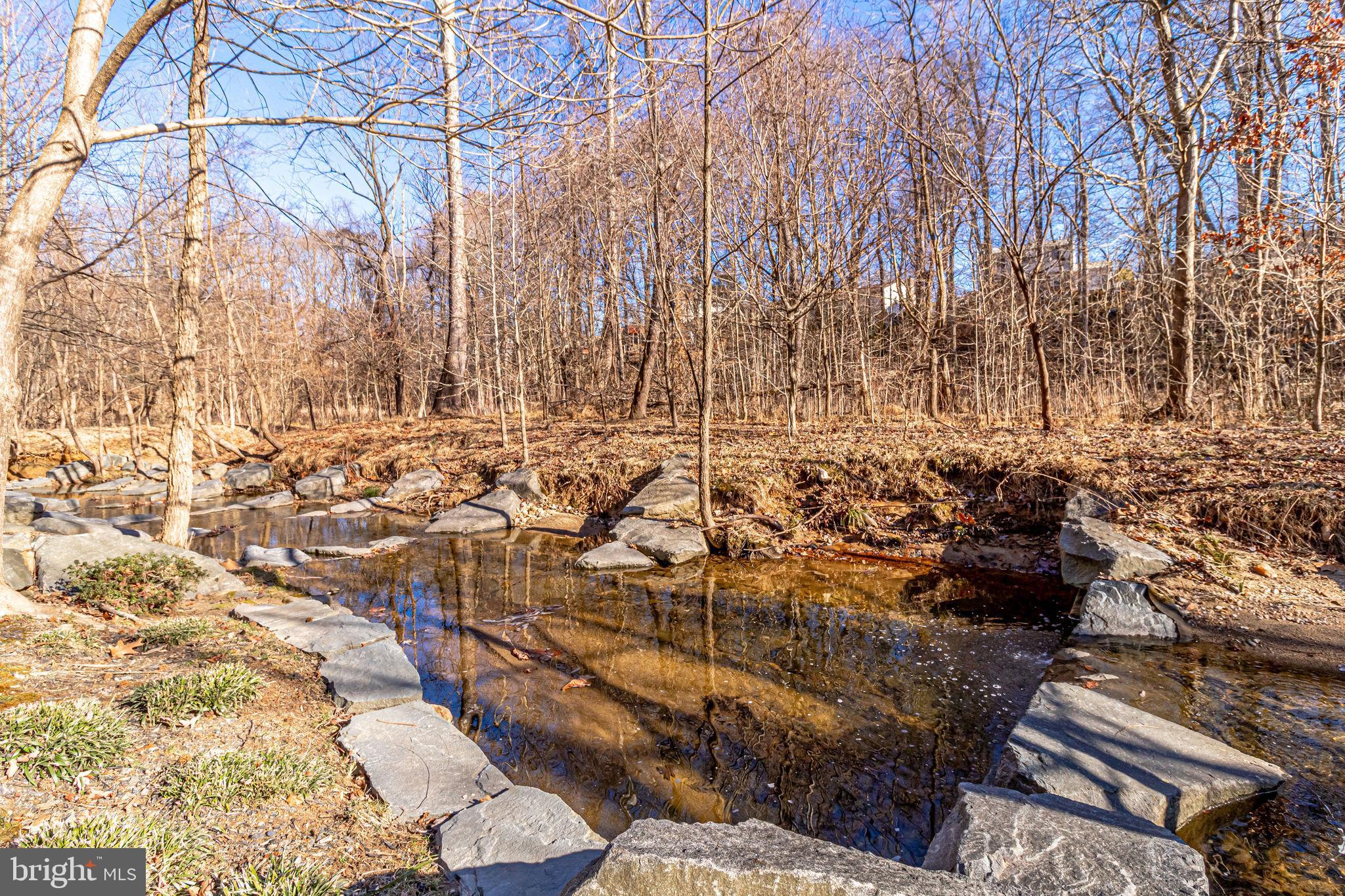 9303 Poplar Spring Court Burke, VA 22015 - Photo 118 of 127