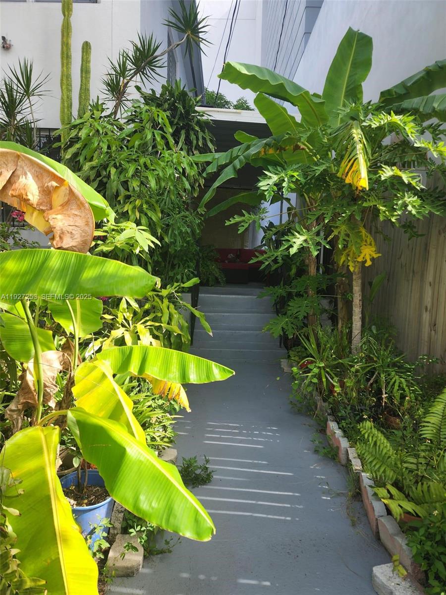 364 Southwest 11th Street Miami, FL 33130 - Photo 54 of 61 a view of a yard with plants
