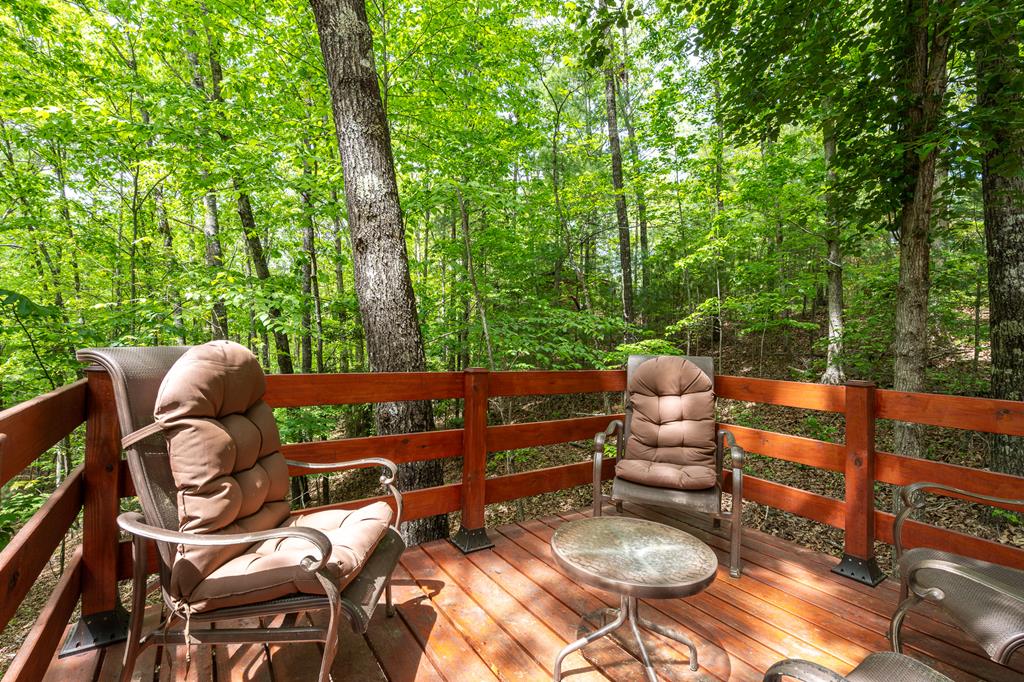 9 Settlers Crossing Way Murphy, NC 28906 - Photo 26 of 44