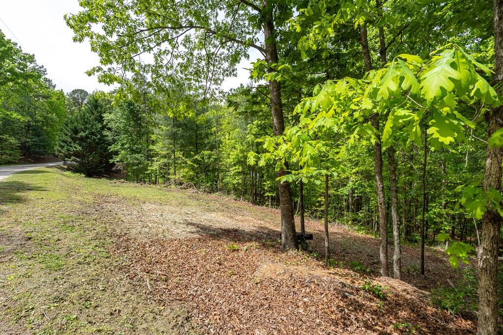 9 Settlers Crossing Way Murphy, NC 28906 - Photo 28 of 44