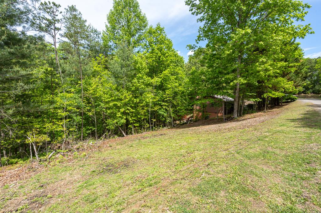 9 Settlers Crossing Way Murphy, NC 28906 - Photo 34 of 44