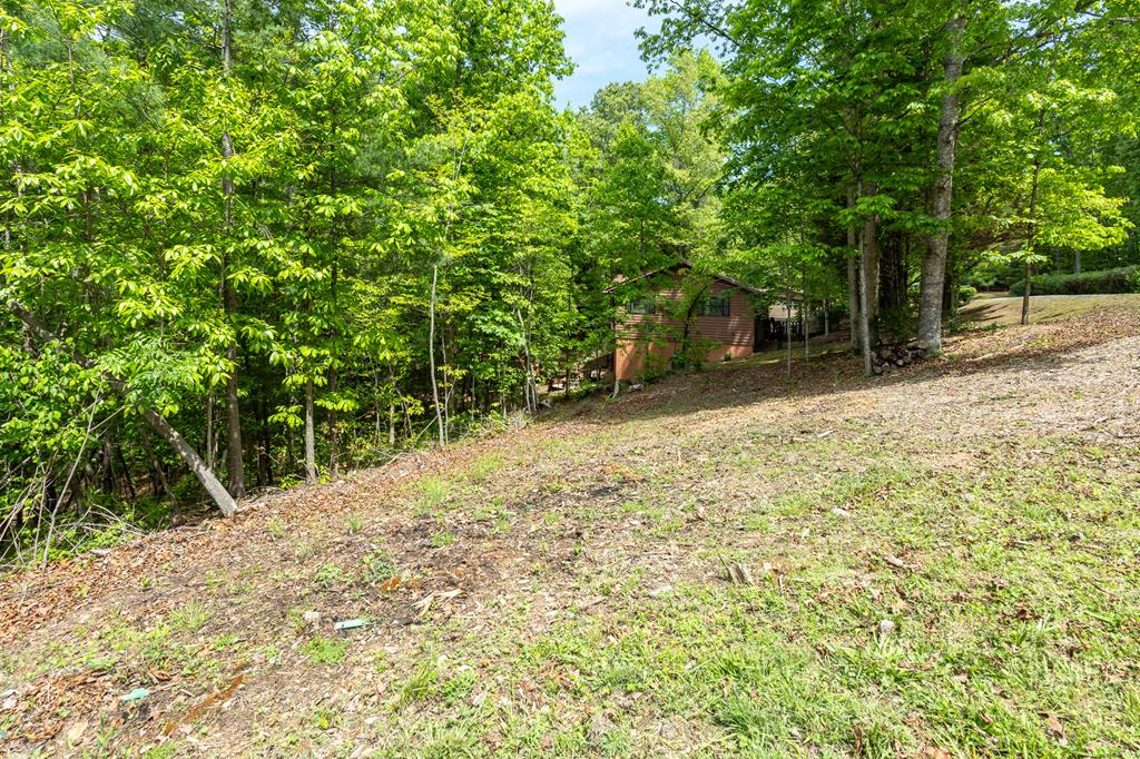 9 Settlers Crossing Way Murphy, NC 28906 - Photo 35 of 44