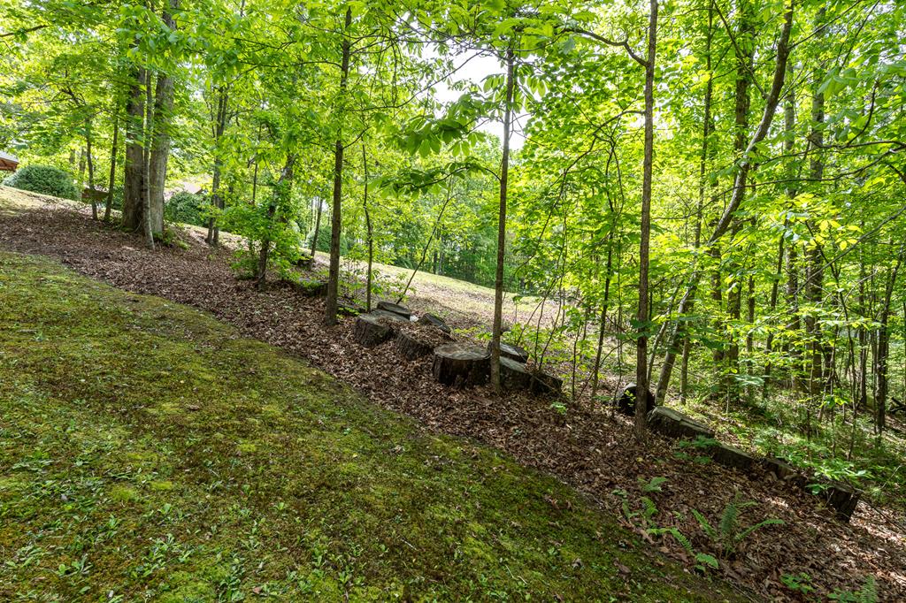 9 Settlers Crossing Way Murphy, NC 28906 - Photo 37 of 44