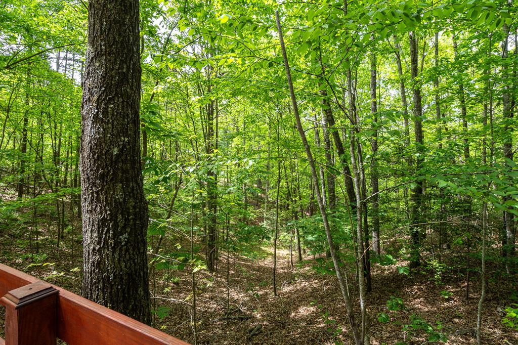 9 Settlers Crossing Way Murphy, NC 28906 - Photo 40 of 44