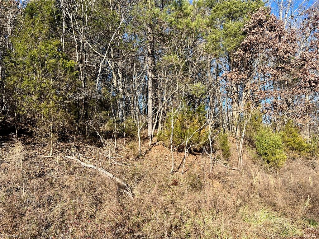 0 Lacey Court Trinity, NC 27370 - Photo 2 of 2