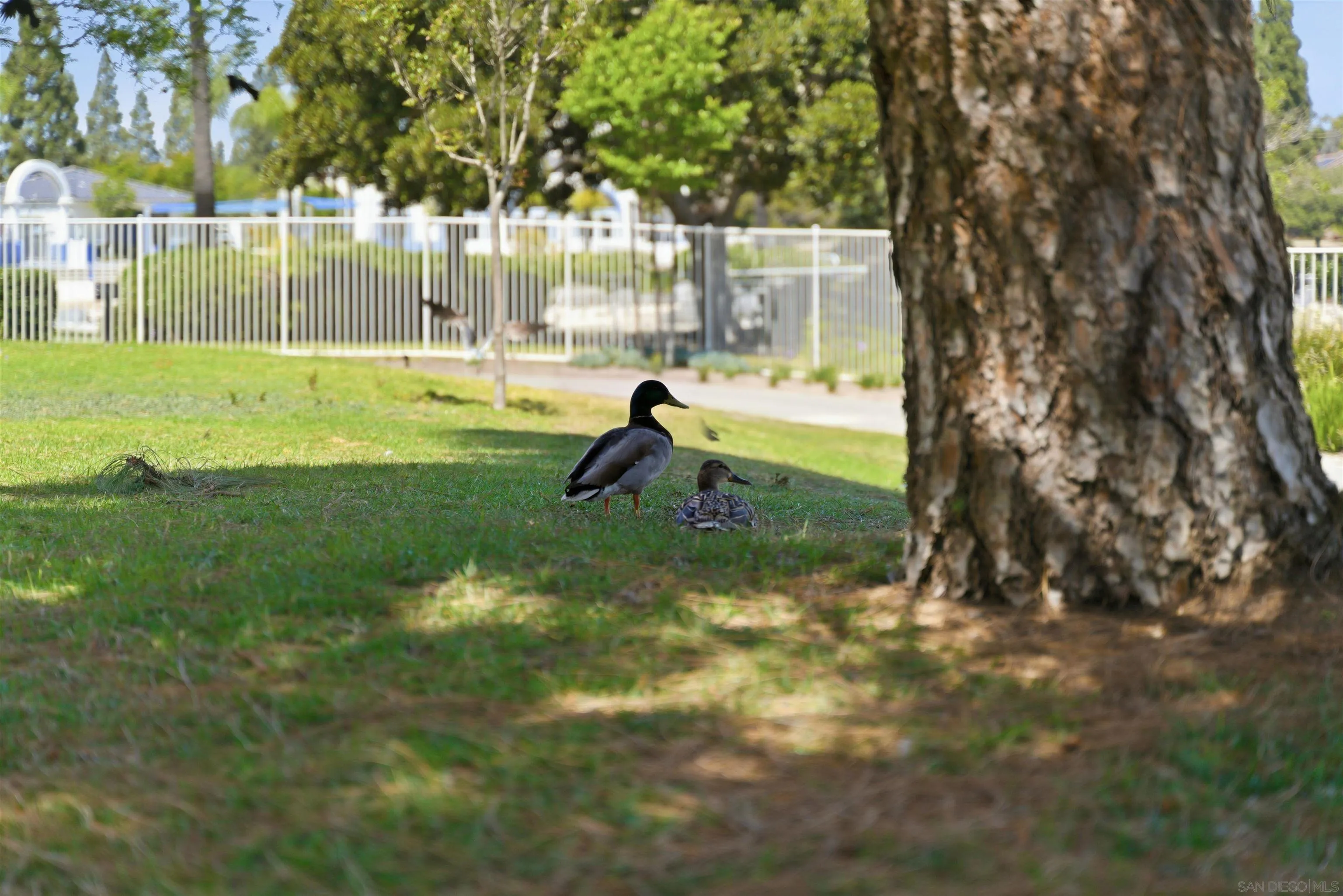 773 Brookstone Road, Unit 104 Chula Vista, CA 91913 - Photo 26 of 32