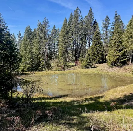 $235,000 | Tbd Harris Ridge Road, Kooskia, ID 83539