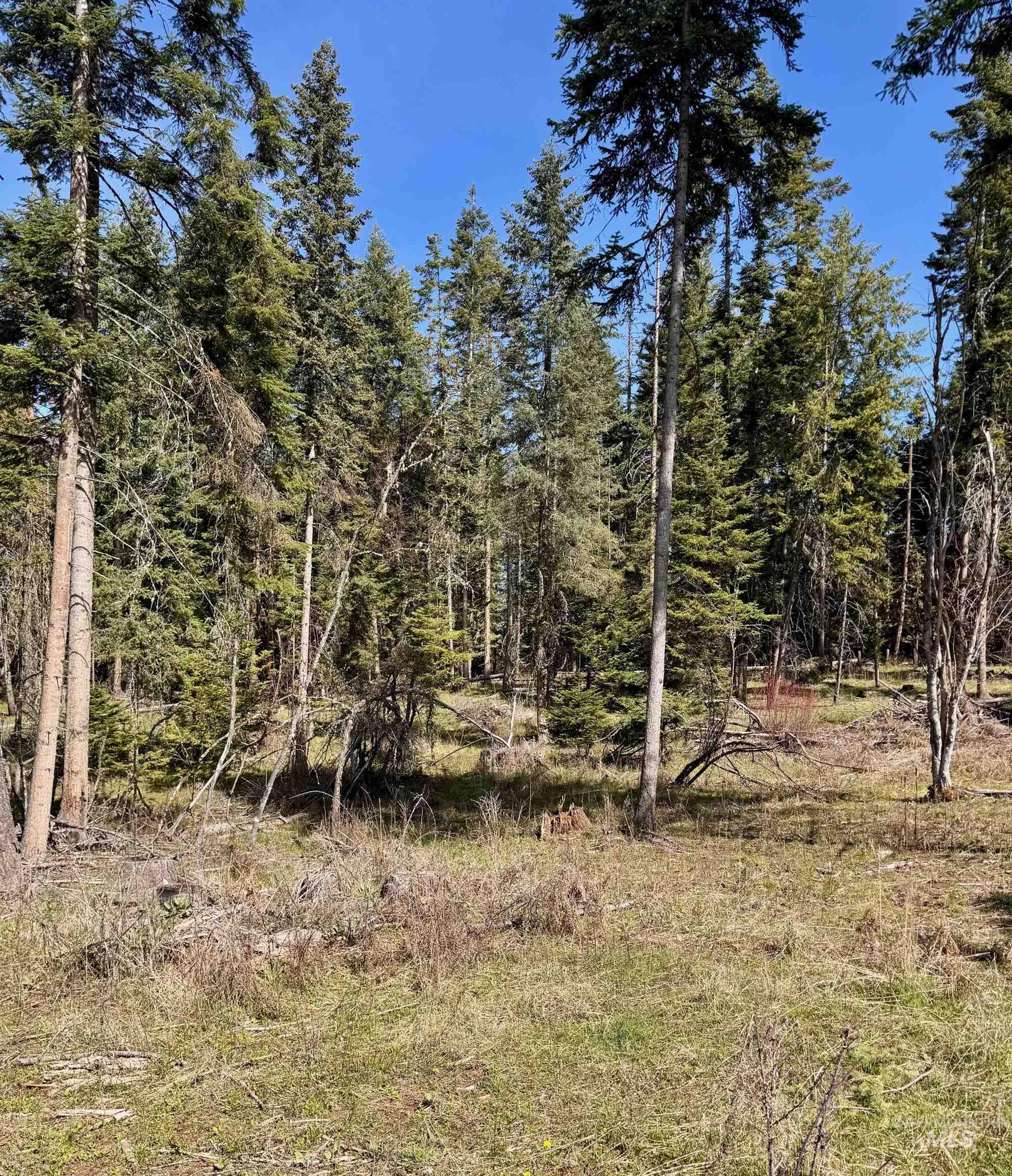 Tbd Harris Ridge Road Kooskia, ID 83539 - Photo 11 of 15