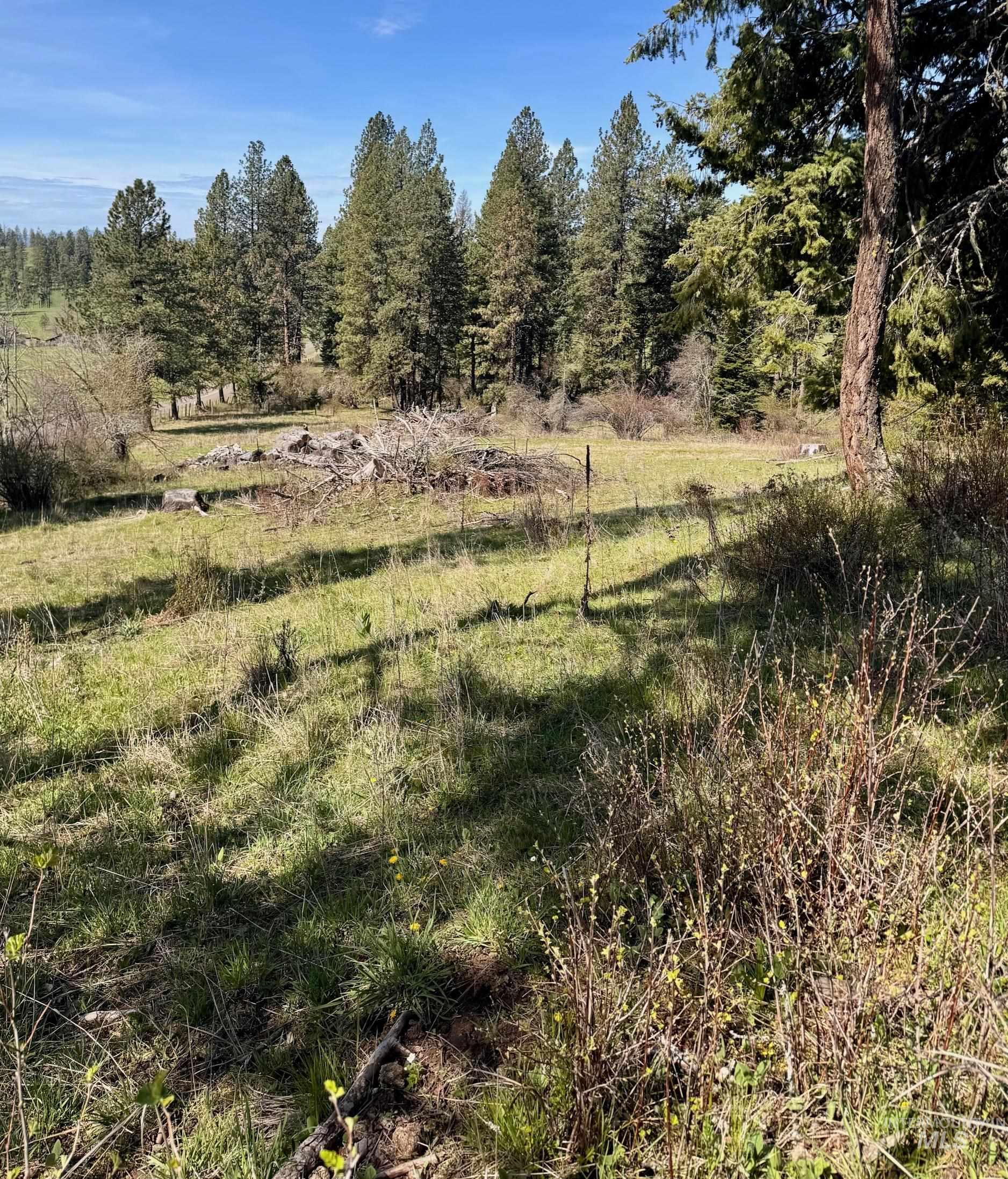 Tbd Harris Ridge Road Kooskia, ID 83539 - Photo 14 of 15