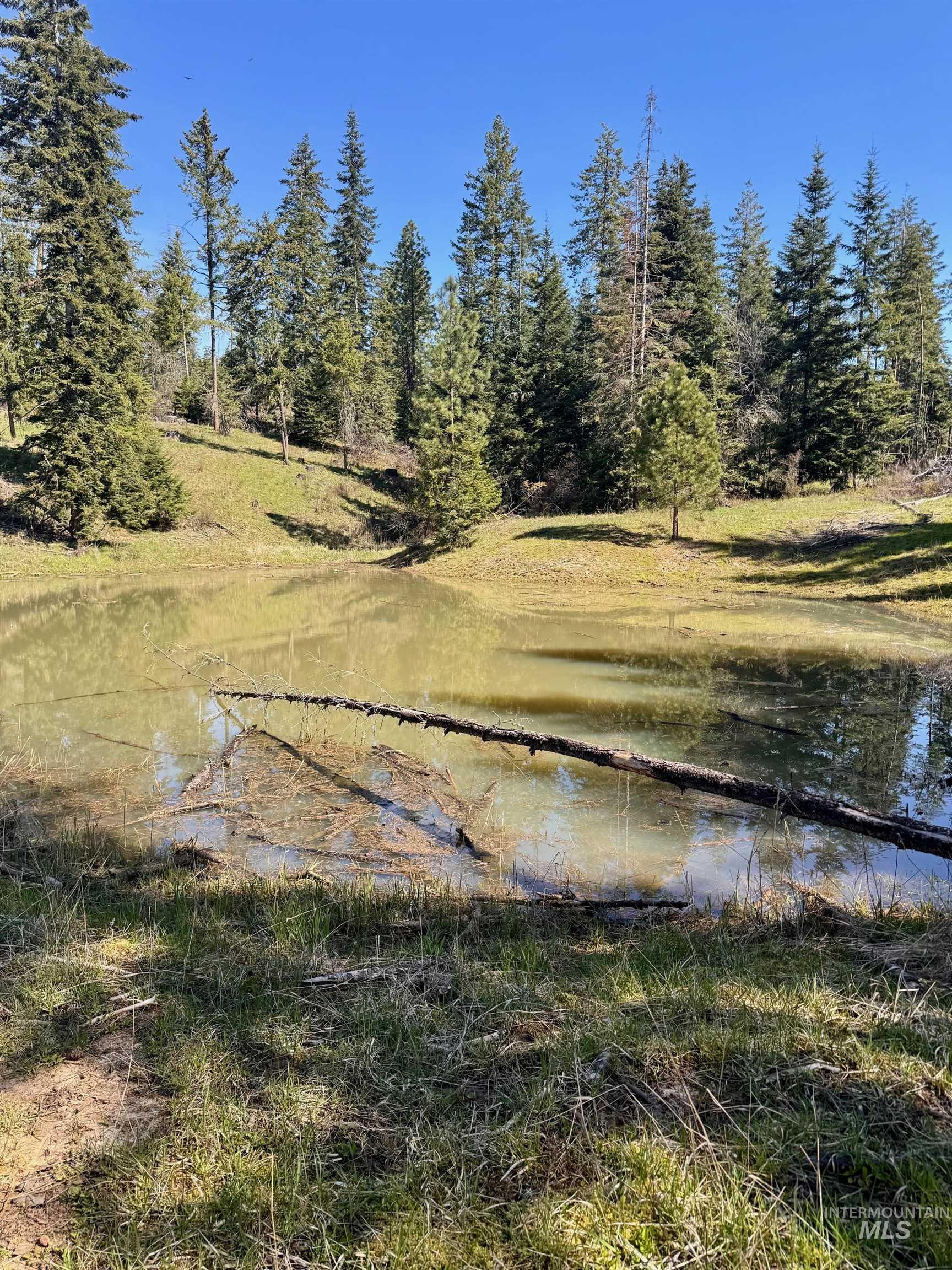 Tbd Harris Ridge Road Kooskia, ID 83539 - Photo 15 of 15