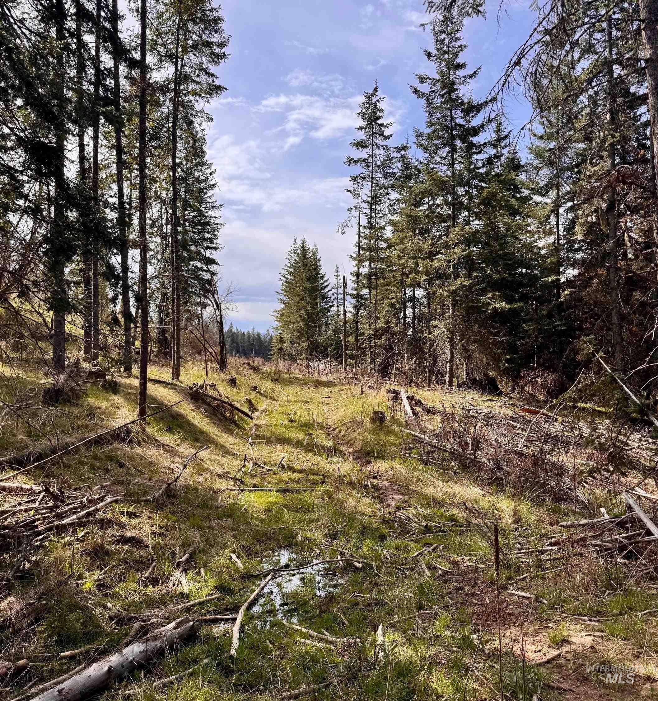 Tbd Harris Ridge Road Kooskia, ID 83539 - Photo 3 of 15