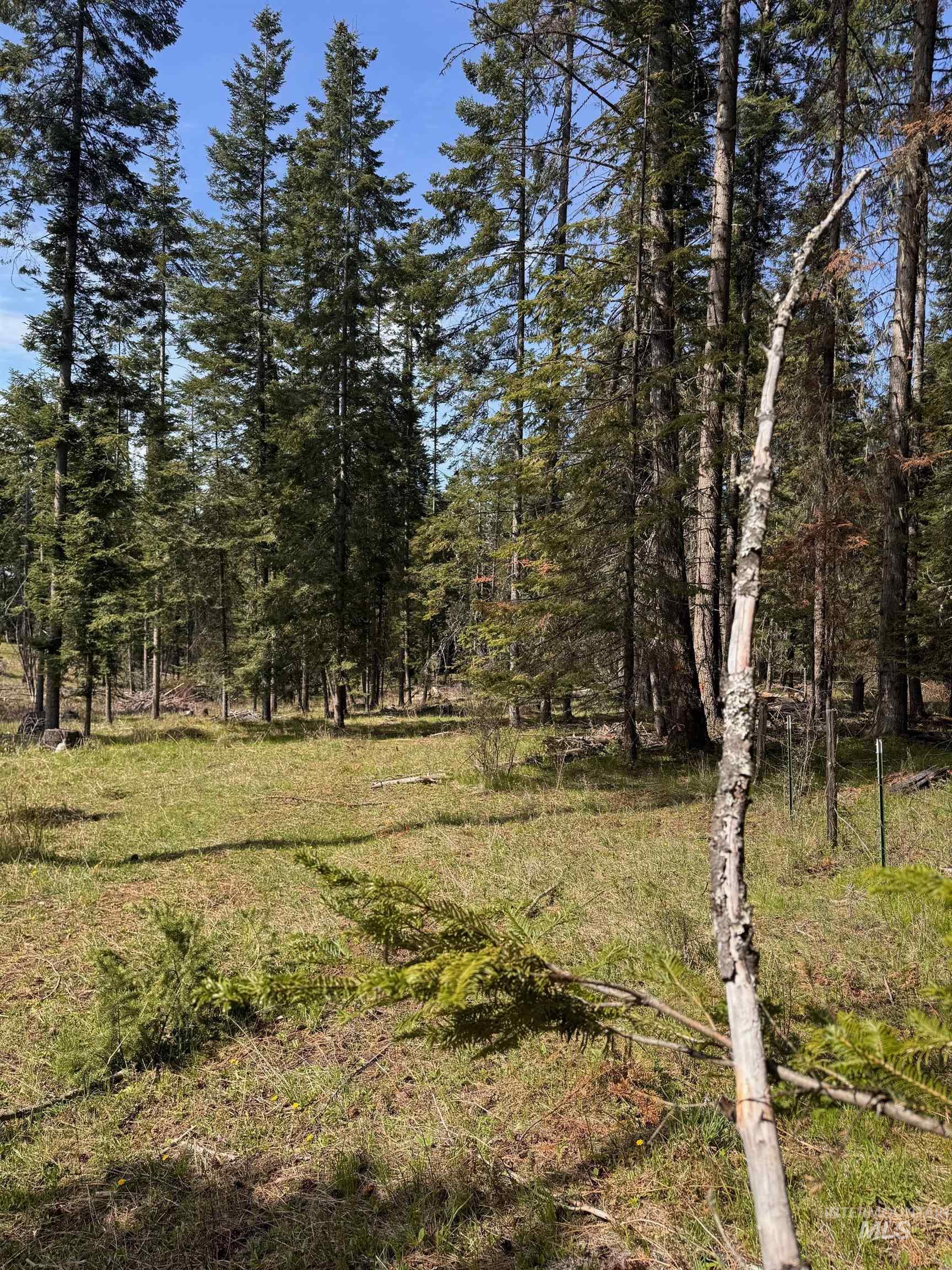 Tbd Harris Ridge Road Kooskia, ID 83539 - Photo 5 of 15