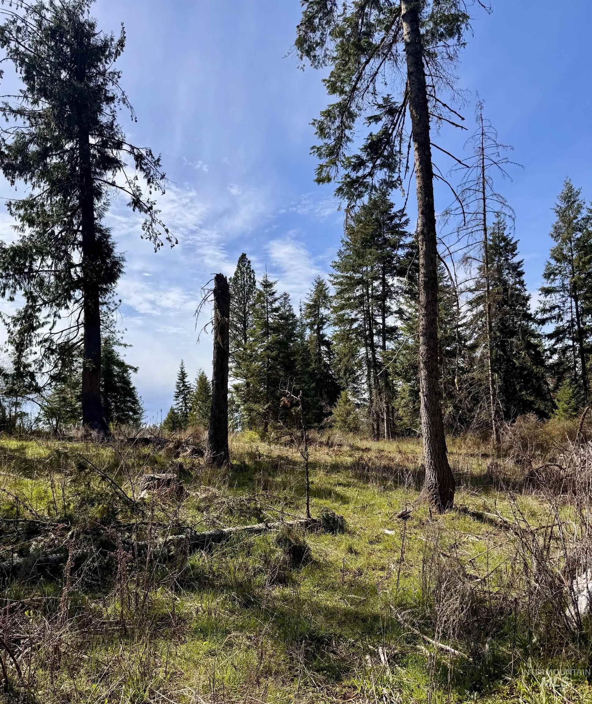 Tbd Harris Ridge Road Kooskia, ID 83539 - Photo 6 of 15