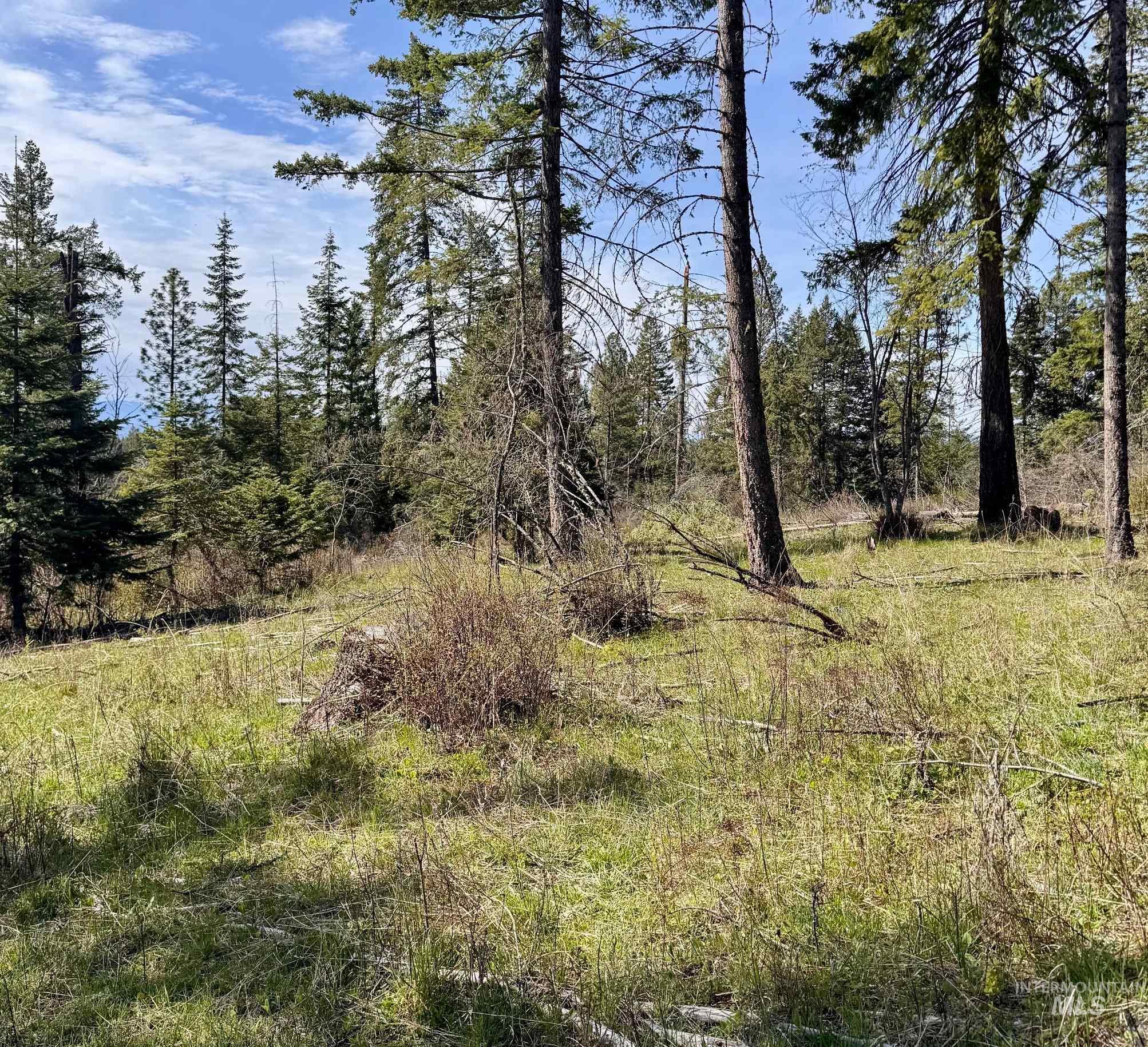 Tbd Harris Ridge Road Kooskia, ID 83539 - Photo 7 of 15
