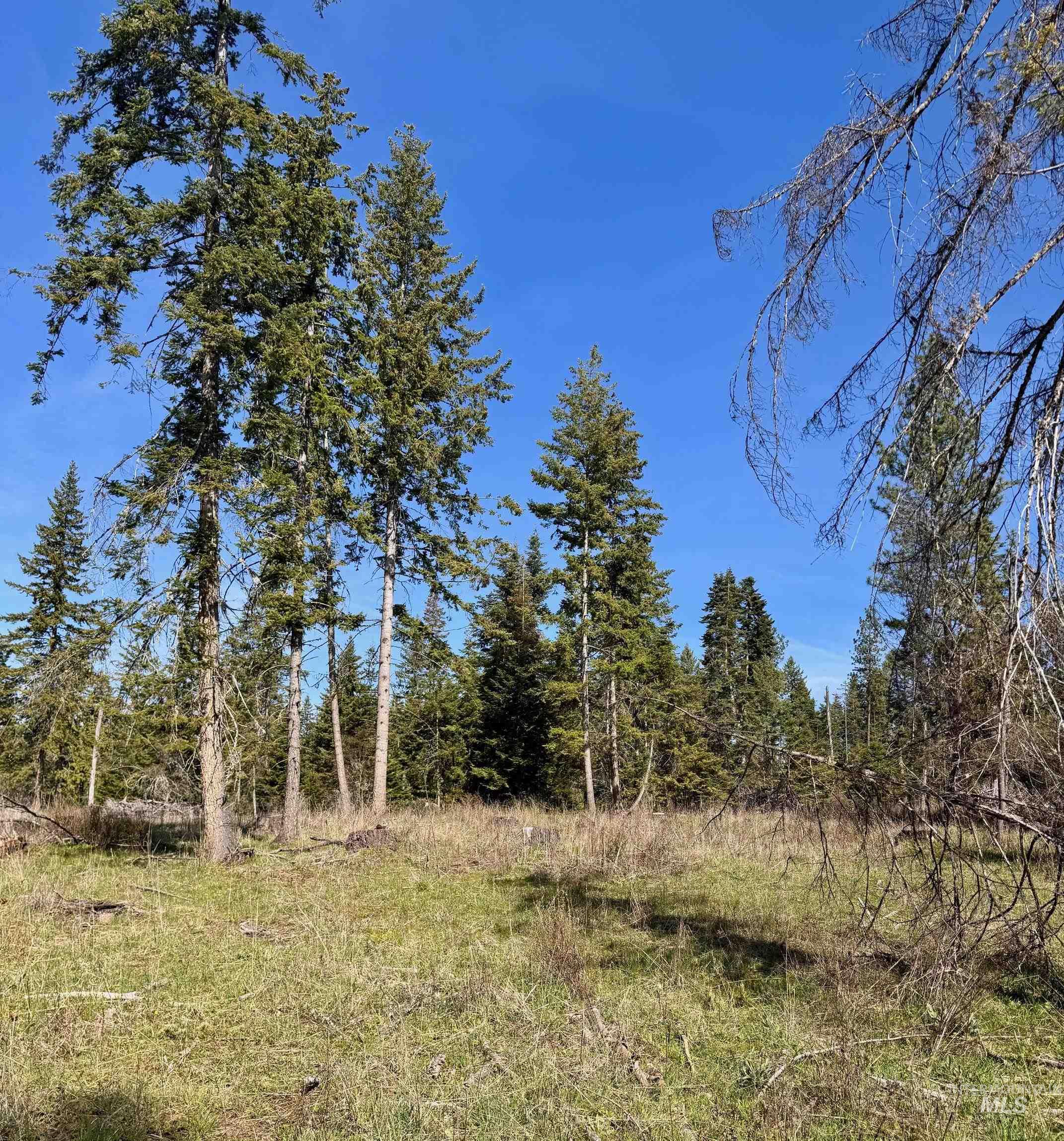 Tbd Harris Ridge Road Kooskia, ID 83539 - Photo 8 of 15