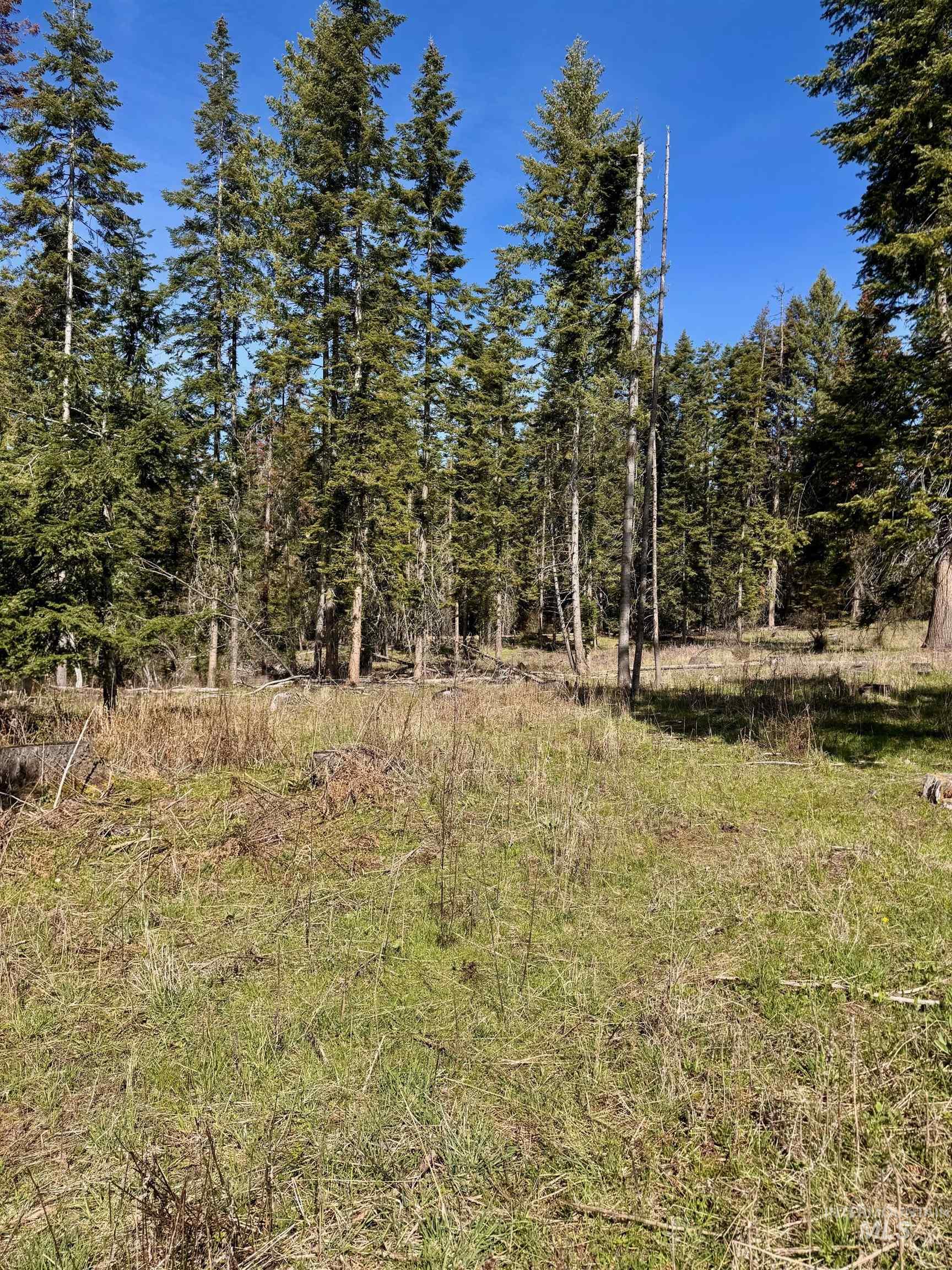 Tbd Harris Ridge Road Kooskia, ID 83539 - Photo 9 of 15