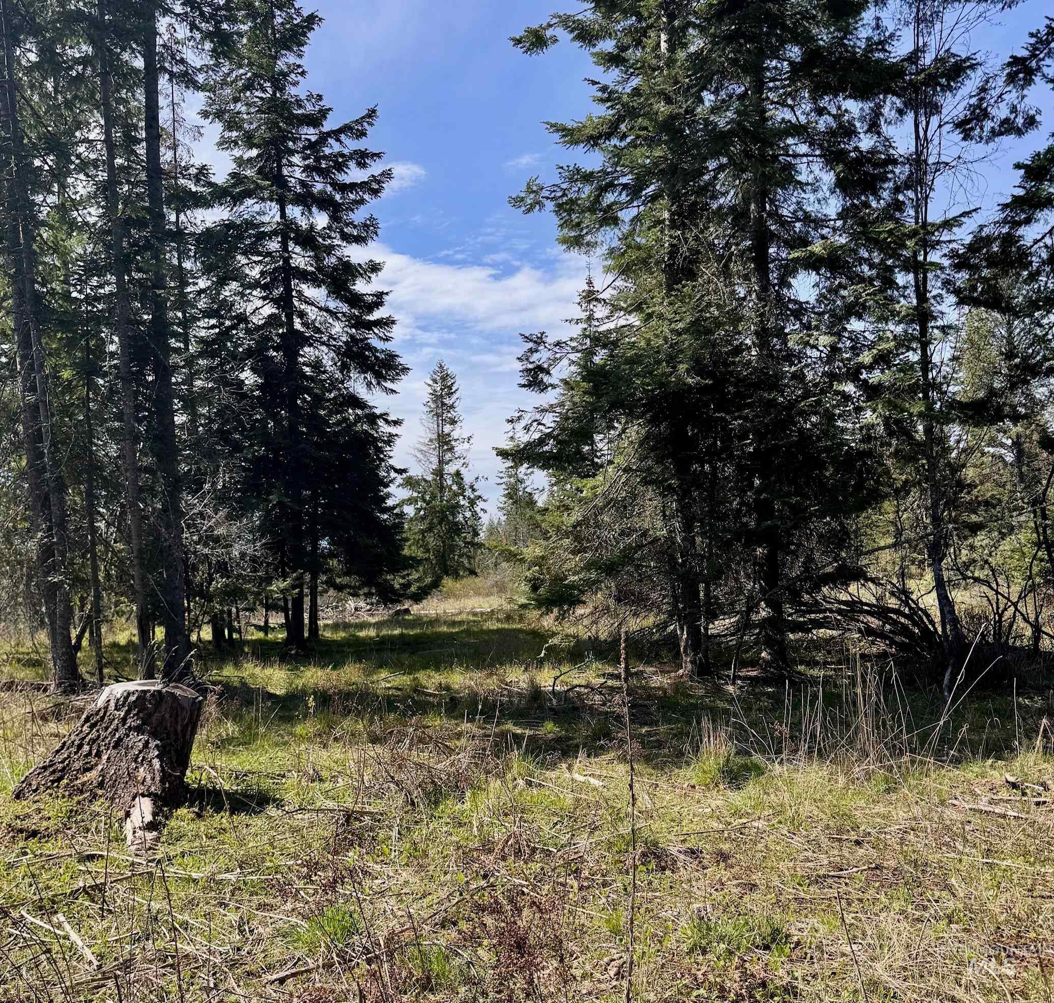 Tbd Harris Ridge Road Kooskia, ID 83539 - Photo 10 of 15